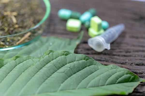 Borneo Kratom: A Comprehensive Overview